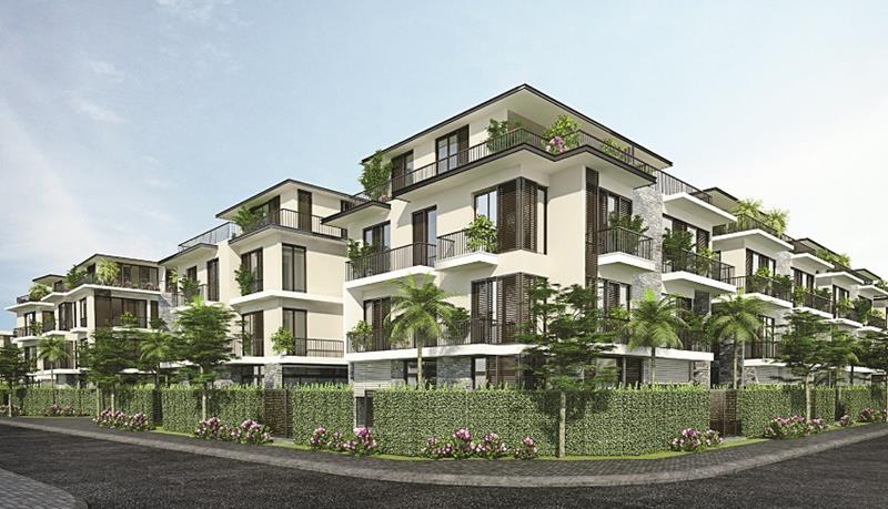 Eden House - Nhà ở thấp tầng, khu cây xanh công cộng kết hợp hồ nước và các chức năng khác